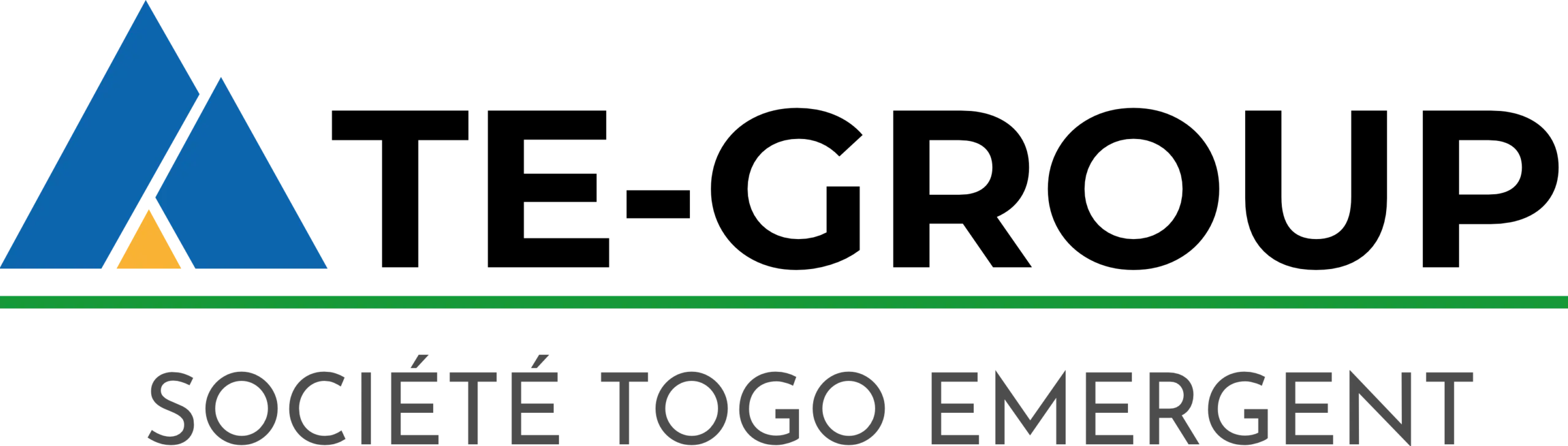 logo te group site